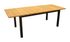 Table de jardin retangulaire BALITO en aluminium et acacia 160/220x90x74 cm PROLOISIRS