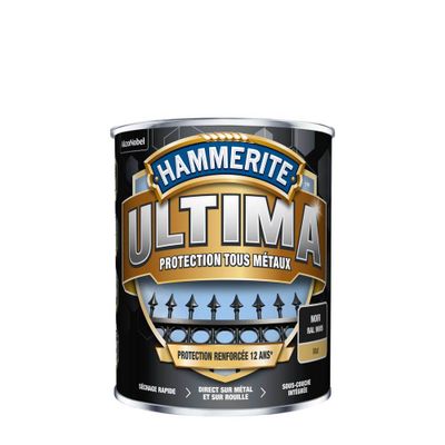 Peinture fer extérieur ultima noir mat 2,5 L - HAMMERITE