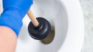 Nomenclature Ventouse et matériel de débouchage