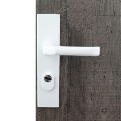 Poignées de porte sur plaques à cylindre sécurité Odin blanc ALPERTEC