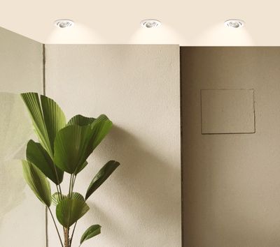 Spot LED encastrable dimmable et orientable module remplaçable Blanc - Ruby ARLUX