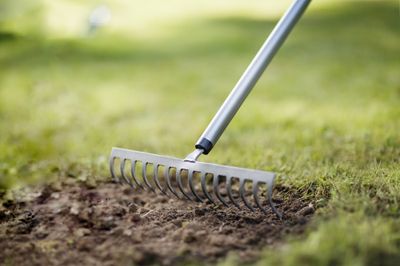 Râteau à dents courbes manche courbé Ergonomic manche aluminium