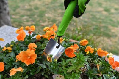 Transplantoir YARDSMITH