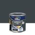 Peinture Ecran+ Fer  Brillant Gris Anthracite 250 mL - DULUX VALENTINE