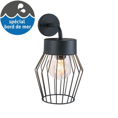 Applique extérieur E27 Lanka anthracite IP44 40W - PAULMANN