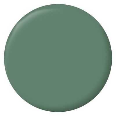 Peinture murs, boiseries et radiateurs vert comic mat 2,5 L - RIPOLIN