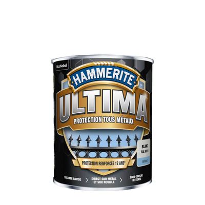 Peinture fer extérieur ultima blanc brillant 2,5 L - HAMMERITE