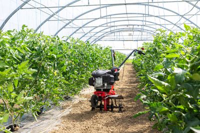 Motobineuse thermique largeur de travail 36 cm AL-KO