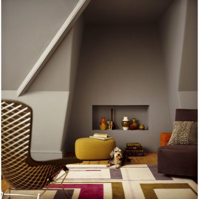 Peinture Crème de Couleur Gazelle mat 0,5 L - DULUX VALENTINE