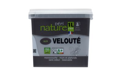 Peinture naturelle murale Silex velours 1 L - DEFI NATURE