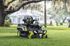 Rider Zero Turn Brushless Ryobi