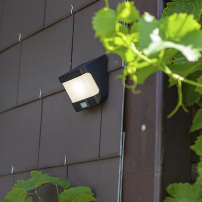 Applique extérieur solaire LED détecteur de mouvements Try noir IP54 500 lumens lumière du jour - COREP