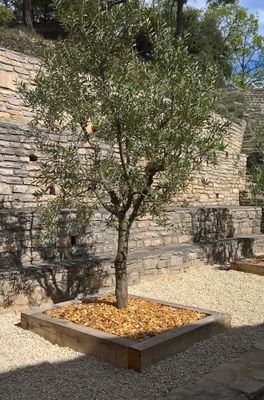 Traverse paysagère en chêne - 120 x 200 x 2600 mm - HENRY TIMBER