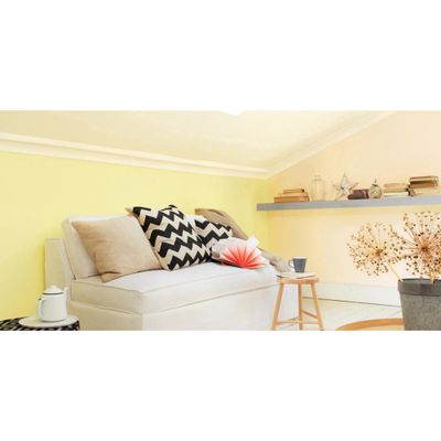 Testeur couleur Pamplemousse 30 mL - DULUX VALENTINE