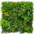 Mur végétal artificiel superjungle 1m x 1m AG'CO