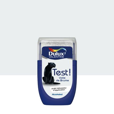 Testeur couleur Voile de Brume 30 mL - DULUX VALENTINE