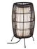 Lanterne lumineuse extérieur LED Link+Light noir IP44 70 lumens blanc chaud - PAULMANN