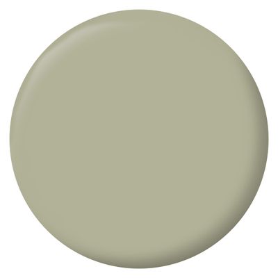 Peinture murs, boiseries et radiateurs vert gaspesie velours 0,5 L - RIPOLIN