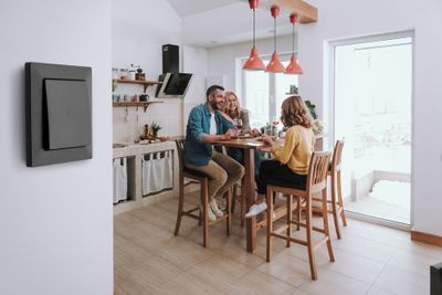 Interrupteur poussoir anthracite Delta Line - SIEMENS