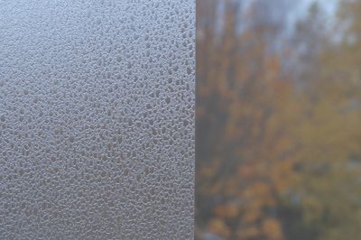 Film adhésif vitrostatique 1,5mx0,45m eau