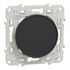 Obturateur de prise et dérivation anthracite - Odace 2011 SCHNEIDER ELECTRIC