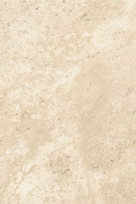 Carrelage de sol intérieur beige bord naturel 40 x 60 cm paquet de 1,2 m² HERBERIA