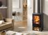 Poêle à bois sur bucher 7,5 kW ANDES 7 étoiles flammes vertes, Livraison à domicile incluse - PANADERO