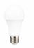 Ampoule LED SMD E27 13W = 1521 lumens blanc chaud - ARLUX