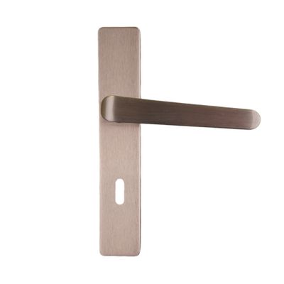 Poignées de porte sur plaques à clé double entraxe Célio nickel mat ALPERTEC