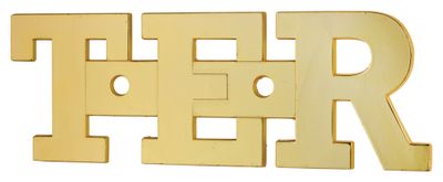 Plaque signalétique lettre Ter à visser hauteur 51 mm laiton THIRARD
