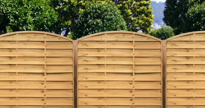 Panneau cadre arc pin traité autoclave brun classe 4 - 45 x 1800 x 1800 mm - DEBARGE