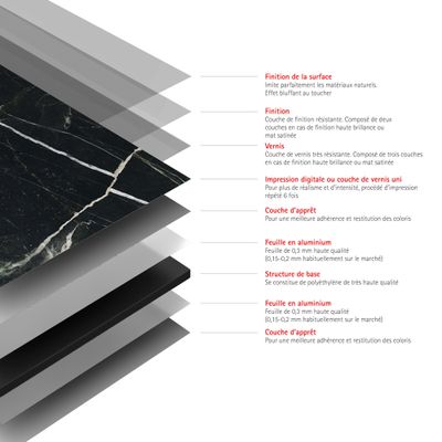 Panneau mural de douche 100x210 cm marbre noir vert DécoDesign Softtouch - SCHULTE