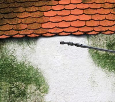 Anti-dépôts verts concentré 1 L pour toiture et façade - RIPOLIN_NEW