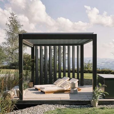 Pergola acier gris foncé/argent métallique 4 x 3 - BIOHORT