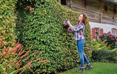 Taille haie à batterie 36 V lame 61 cm GE-CH 36/61 Li (2x4,0Ah) EINHELL