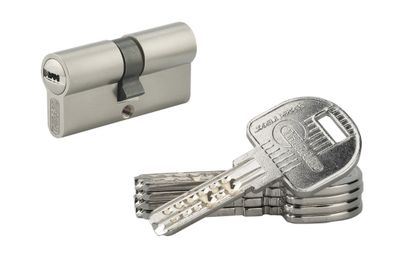 Cylindre de serrure double entrée 30 x 30 mm Trafic 12 très haute sécurité nickelé 5 clés THIRARD