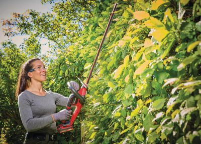 Taille-haie à batterie GP-CH 18/61 avec batterie EINHELL PROFESSIONAL