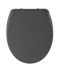 Abattant de WC Gris, frein de chute, declipsable
