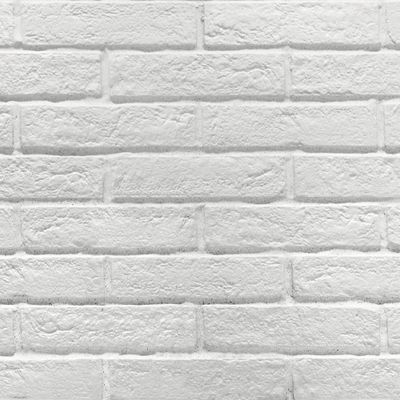 Faïence blanche murale intérieur briquette Brick blanc ép 16 mm 6 x 25 cm paquet 0,58 m²