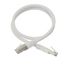 Câble RJ45 catégorie 6  L0,5 m