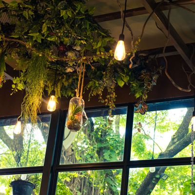 Ampoule LED ST64 Hologramme Edison verre ambré 4 W = 200 Lumens blanc chaud XANLITE