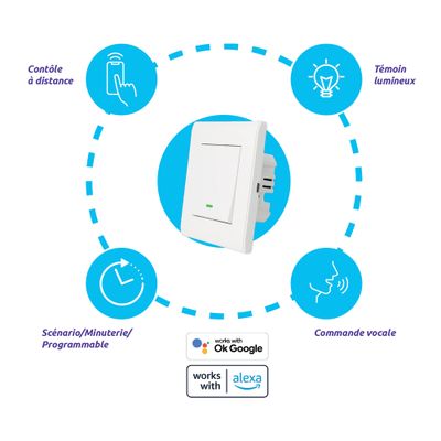 Interrupteur WIFI SEDEA