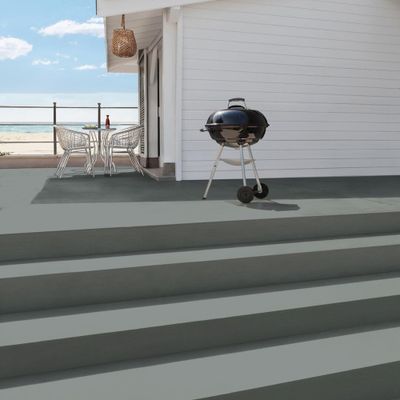 Peinture sol climat extrême carbone satiné 2.5l