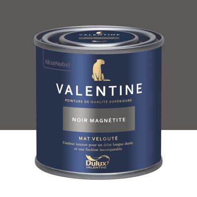 Peinture Valentine Mat Velouté Noir Magnétite 125 mL - DULUX VALENTINE