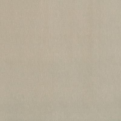 Adhésif décoratif effet métallic nickel 1,5 x 0,45 m VENILIA