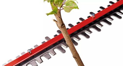 Taille-haie à batterie GP-CH 18/61 avec batterie EINHELL PROFESSIONAL