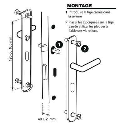 Poignées de porte sur plaques à clé Oris laiton LINEA BERTOMANI