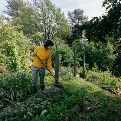 Binette Solid manche aluminium