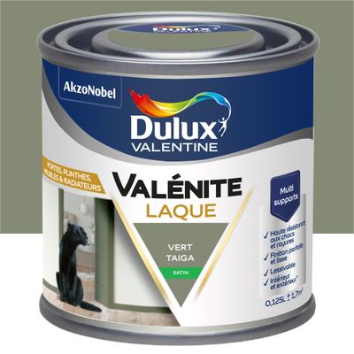 Peinture Boiseries Laque Acrylique Valénite Vert Taiga Satin 125 mL- DULUX VALENTINE