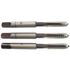Tarauds en métal diamètre 4 mm par 3 - TIVOLY